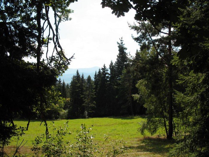 wycieczki-z-eugeniuszem-gronostajem-foto-64689