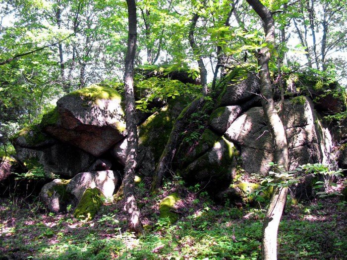 wycieczki-z-eugeniuszem-gronostajem-foto-64689