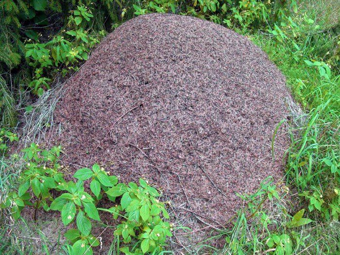 wycieczki-z-eugeniuszem-gronostajem-foto-64689