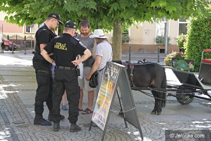 awantura-o-bryczke-z-kucykiem-foto-64716