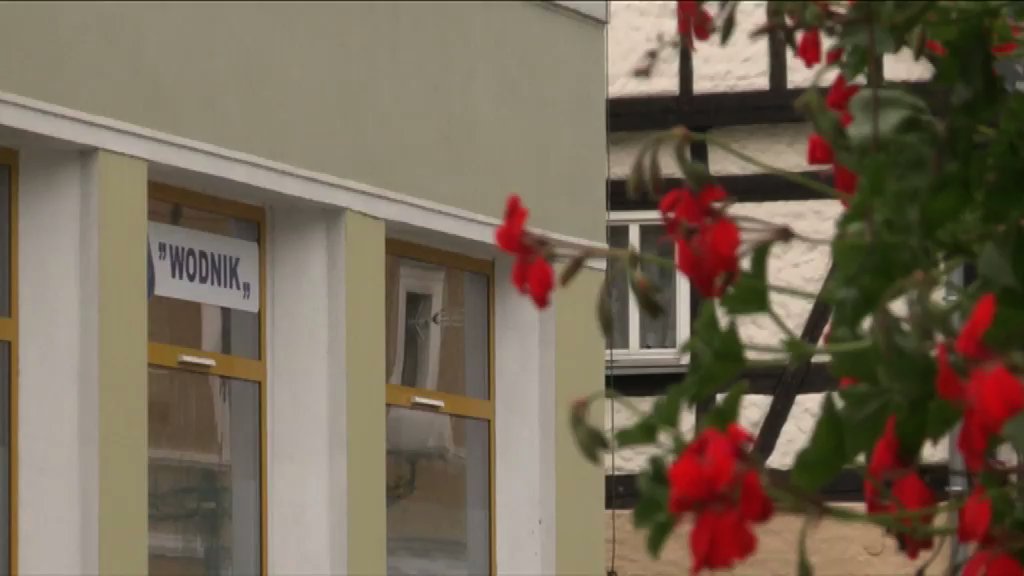 tvdami