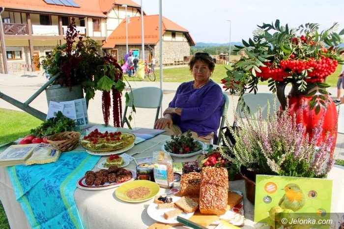 ekologiczny-piknik-z-karkonoskim-parkiem-narodowym-foto-64845