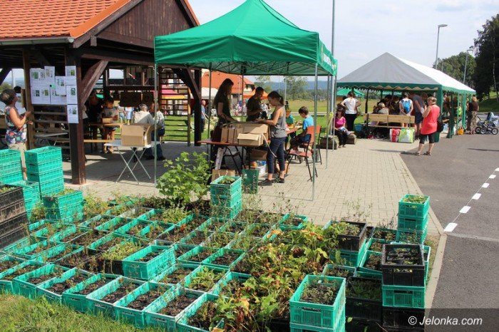 ekologiczny-piknik-z-karkonoskim-parkiem-narodowym-foto-64845