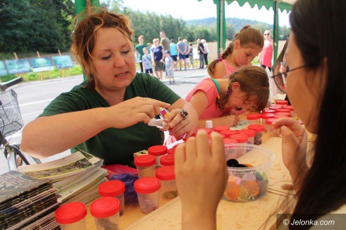 ekologiczny-piknik-z-karkonoskim-parkiem-narodowym-foto-64845