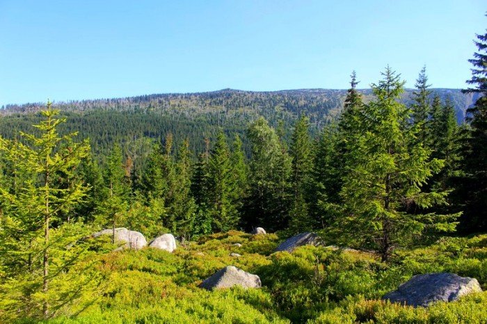 rekordowa-liczba-turystow-w-karkonoszach-foto-64862