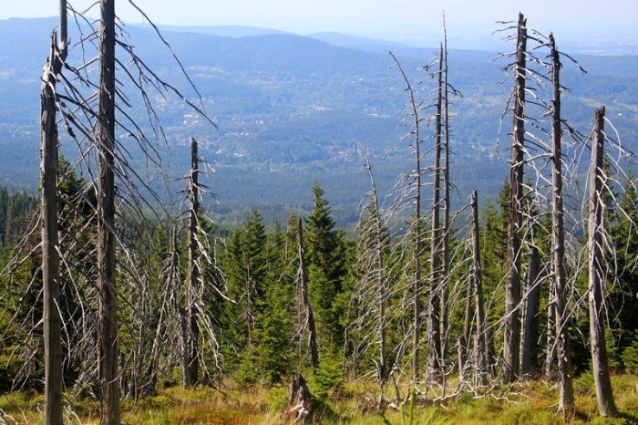 rekordowa-liczba-turystow-w-karkonoszach-foto-64862