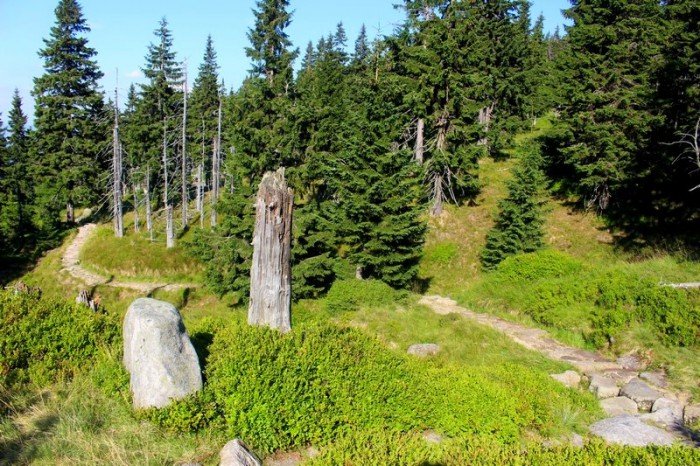 rekordowa-liczba-turystow-w-karkonoszach-foto-64862