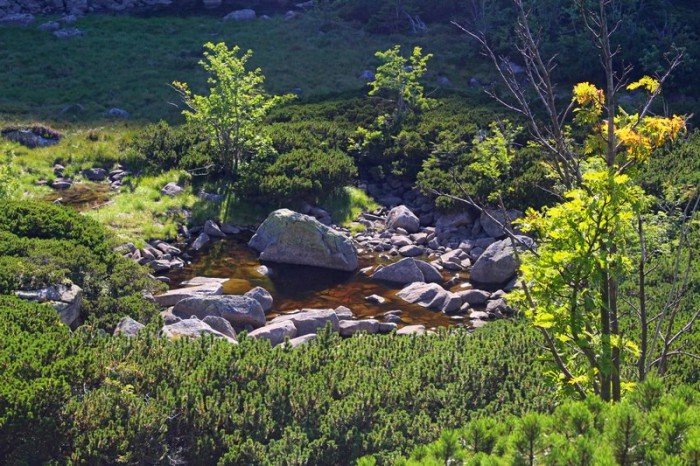 rekordowa-liczba-turystow-w-karkonoszach-foto-64862