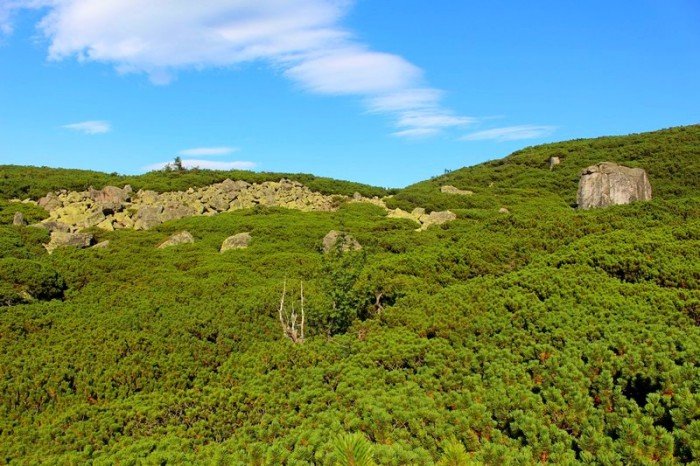 rekordowa-liczba-turystow-w-karkonoszach-foto-64862