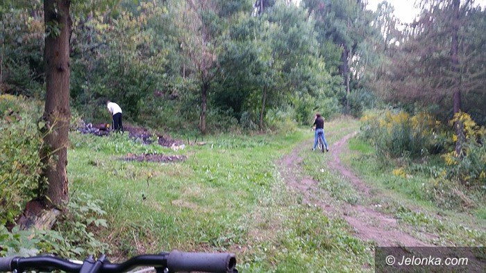 pala-kable-w-lesie-przy-granicznej-ale-smrod-foto-64873