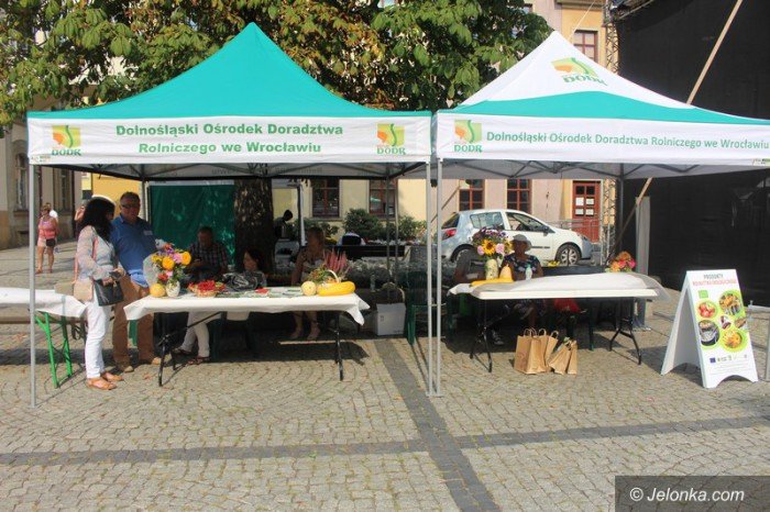 kiermasz-ekologiczny-za-nami-foto-64956