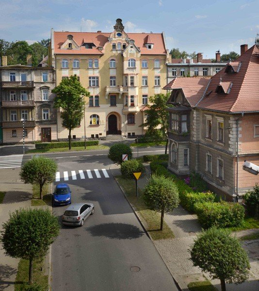Zadrzewienie niskie przy ul. Klonowica