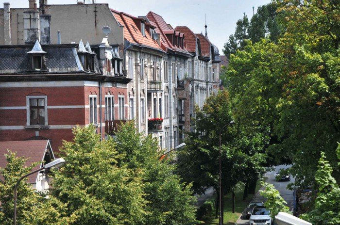 Szczyty nierktórych drzew przy Al. Wojska Polskiego sięgają dachów trzypiętrowych kamienic