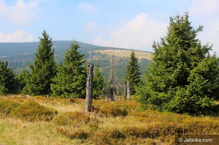 czesi-odbudowuja-petrova-boude-foto-65013