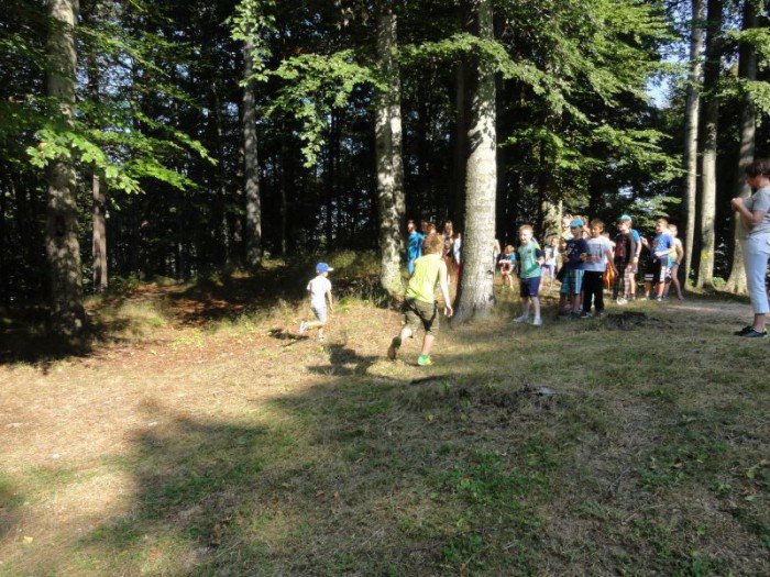 europejski-projekt-w-sp13-rekord-szkoy-ustanowiony-foto-65038