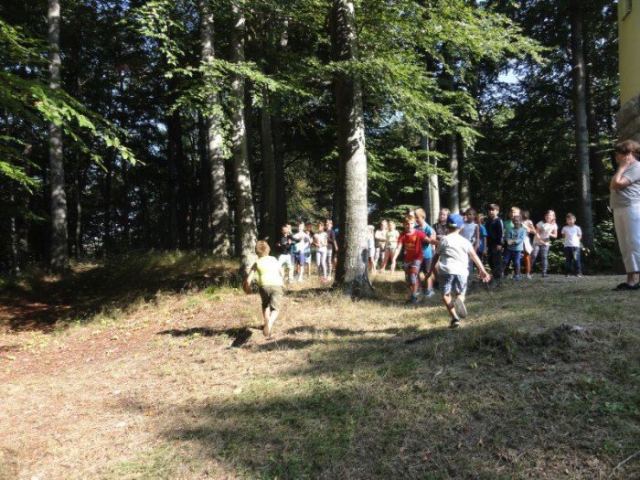europejski-projekt-w-sp13-rekord-szkoy-ustanowiony-foto-65038