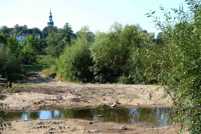 raczej-sucho-mamy-tego-lata-65052