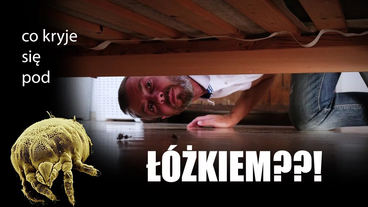 co-kryje-sie-pod-ozkiem-65146