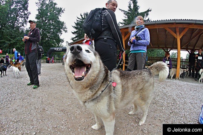 na-starcie-w-dogtrekkingu-staneo-150-zespoow-foto-65167