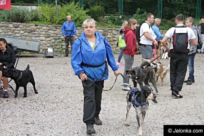 na-starcie-w-dogtrekkingu-staneo-150-zespoow-foto-65167