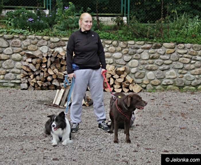 na-starcie-w-dogtrekkingu-staneo-150-zespoow-foto-65167