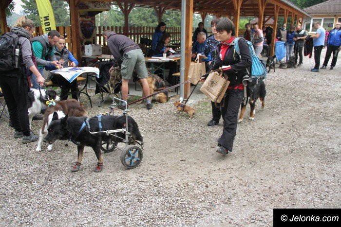 na-starcie-w-dogtrekkingu-staneo-150-zespoow-foto-65167