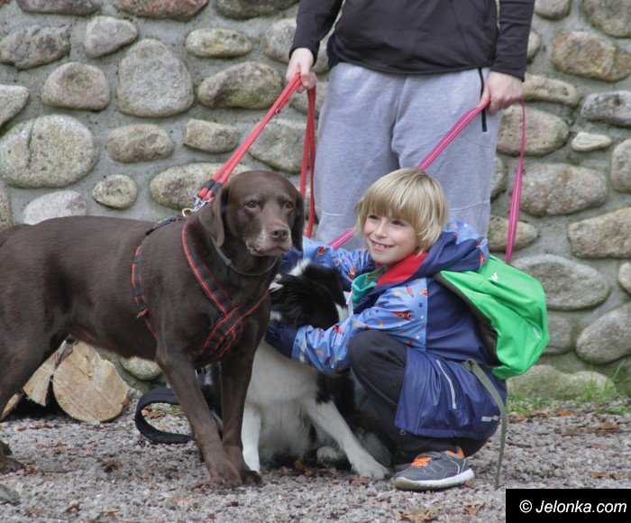 na-starcie-w-dogtrekkingu-staneo-150-zespoow-foto-65167
