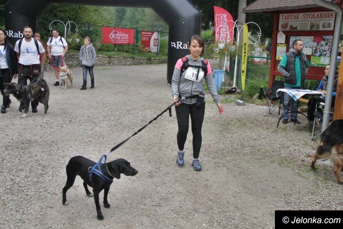 na-starcie-w-dogtrekkingu-staneo-150-zespoow-foto-65167