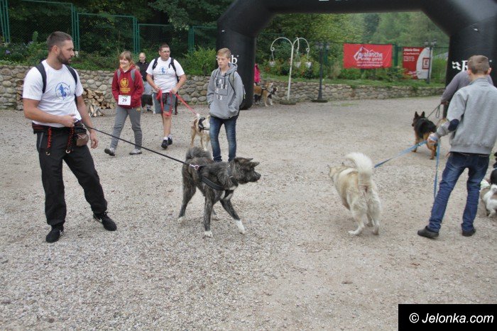 na-starcie-w-dogtrekkingu-staneo-150-zespoow-foto-65167