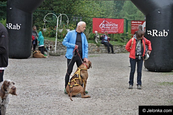 na-starcie-w-dogtrekkingu-staneo-150-zespoow-foto-65167