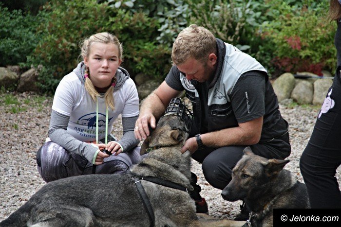 na-starcie-w-dogtrekkingu-staneo-150-zespoow-foto-65167