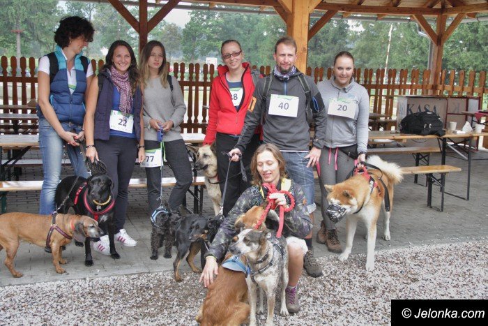na-starcie-w-dogtrekkingu-staneo-150-zespoow-foto-65167