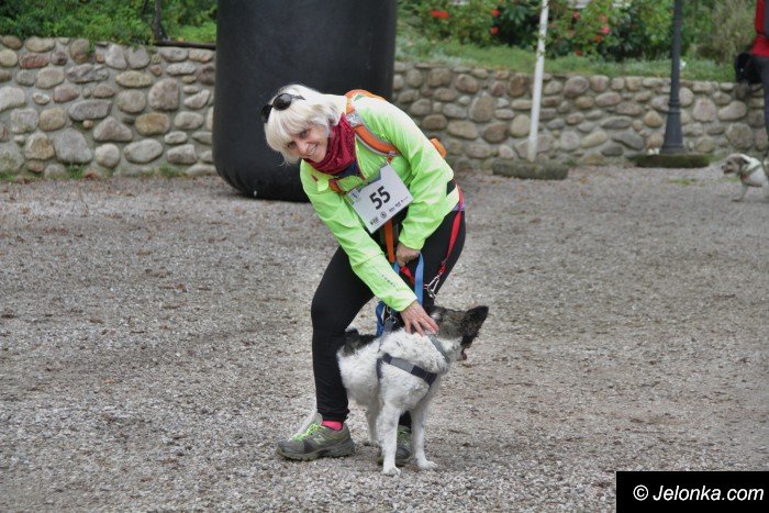 na-starcie-w-dogtrekkingu-staneo-150-zespoow-foto-65167
