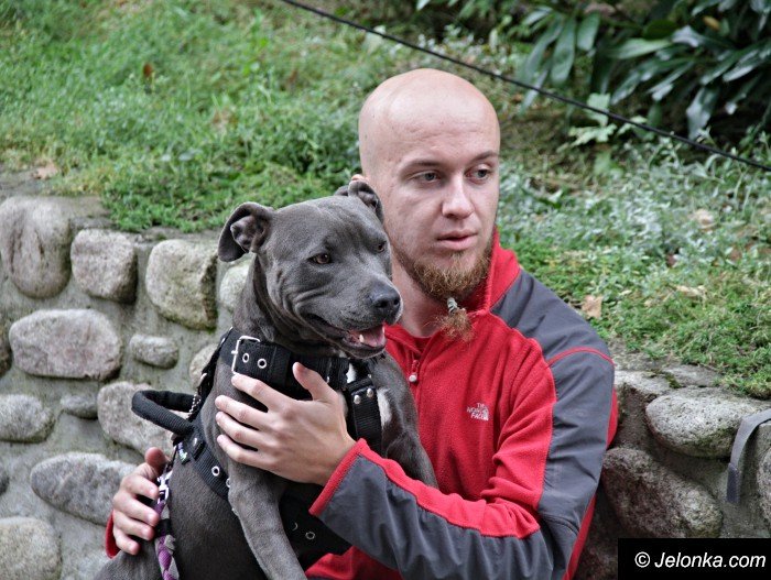 na-starcie-w-dogtrekkingu-staneo-150-zespoow-foto-65167