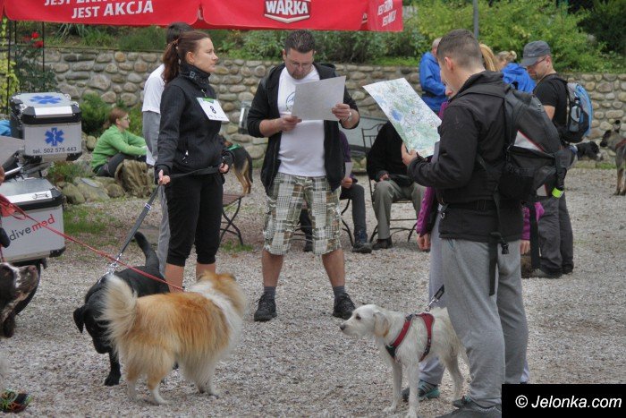 na-starcie-w-dogtrekkingu-staneo-150-zespoow-foto-65167