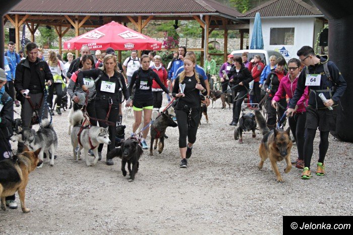 na-starcie-w-dogtrekkingu-staneo-150-zespoow-foto-65167