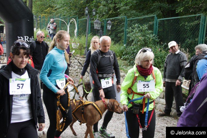 na-starcie-w-dogtrekkingu-staneo-150-zespoow-foto-65167