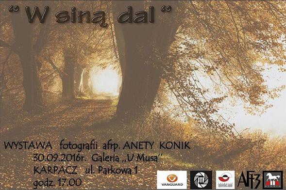 w-sina-dal-w-obiektywie-anety-konik-65233