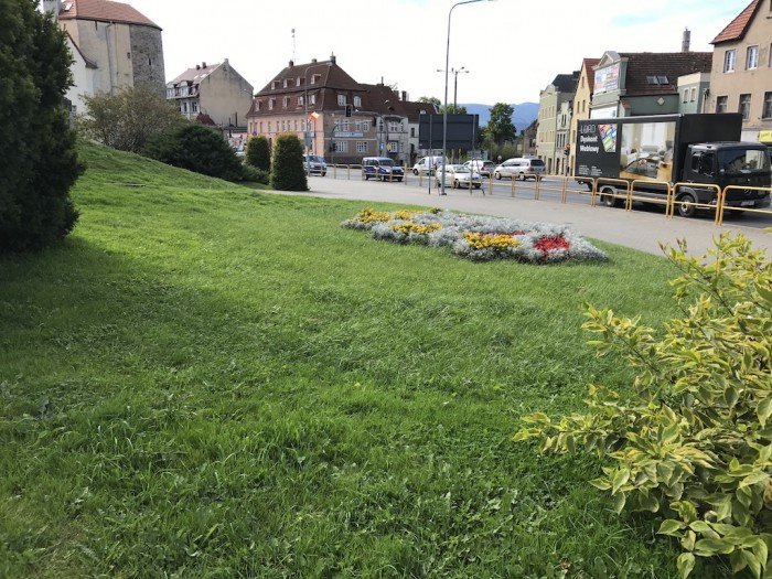 znowu-w-miescie-przybedzie-roslin-foto-65242
