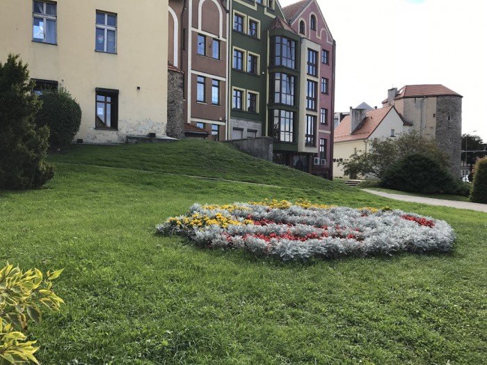 znowu-w-miescie-przybedzie-roslin-foto-65242