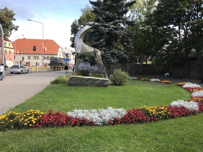 znowu-w-miescie-przybedzie-roslin-foto-65242