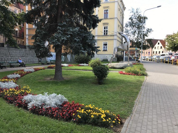 znowu-w-miescie-przybedzie-roslin-foto-65242