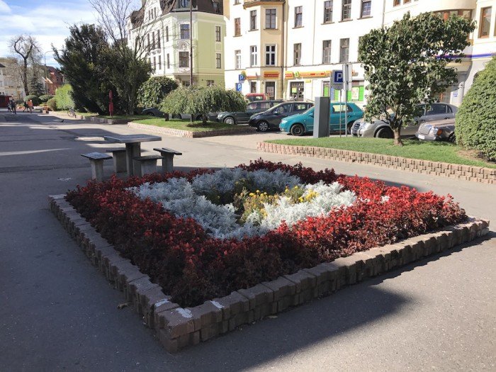 znowu-w-miescie-przybedzie-roslin-foto-65242
