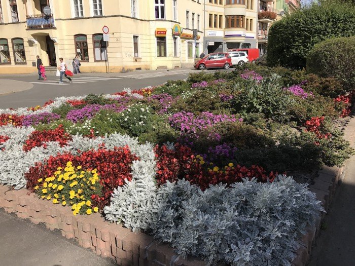 znowu-w-miescie-przybedzie-roslin-foto-65242