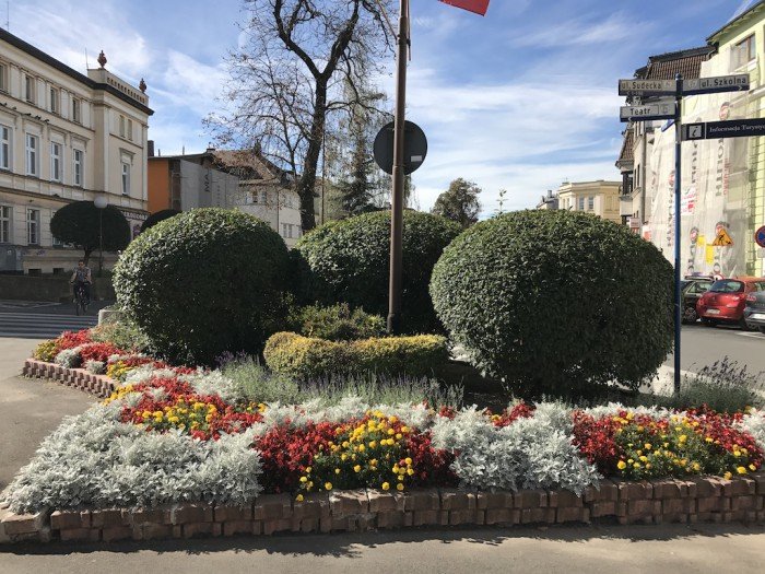 znowu-w-miescie-przybedzie-roslin-foto-65242