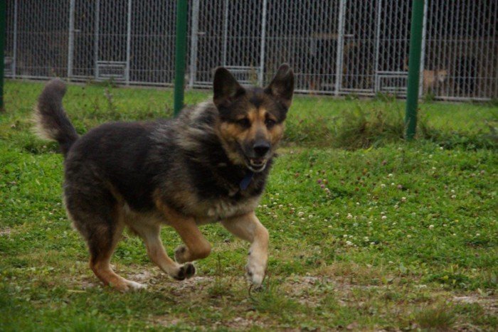 Argo