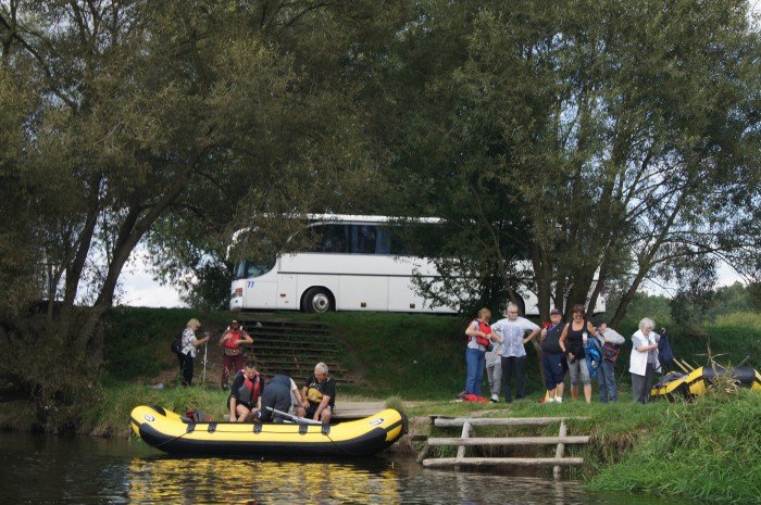 dzien-biaej-laski-na-bobrze-foto-65357