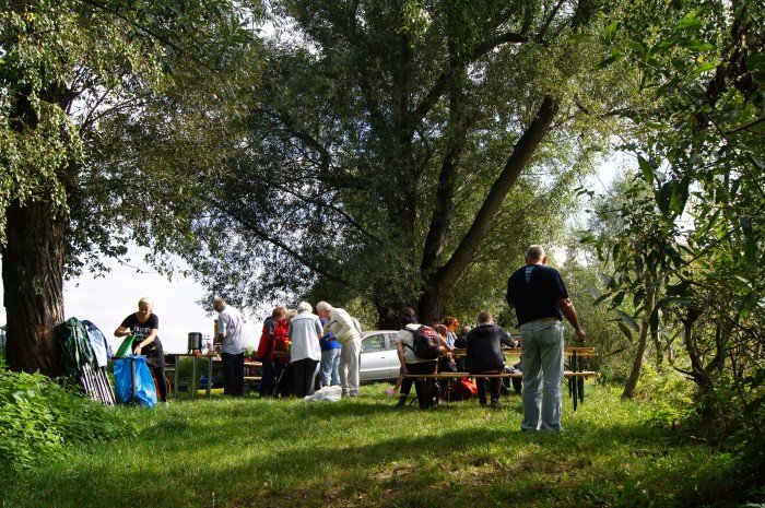 dzien-biaej-laski-na-bobrze-foto-65357