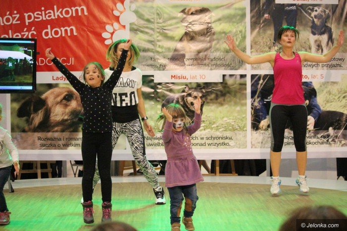 aktywnie-i-artystycznie-na-rzecz-zwierzakow-foto-65398