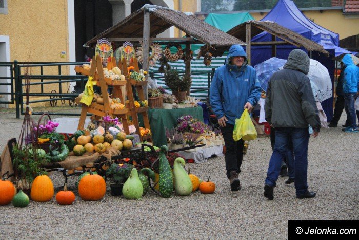 trwa-kiermasz-dozynkowy-w-omnicy-foto-65406